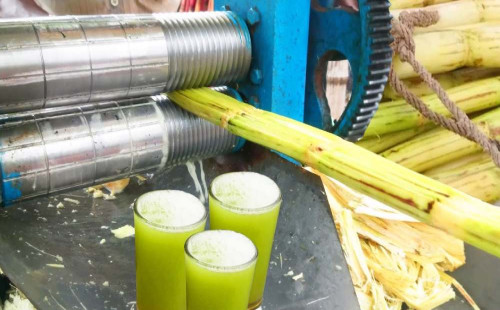 আখের রস খাওয়ার আগে যেসব বিষয় জানতে হবে
